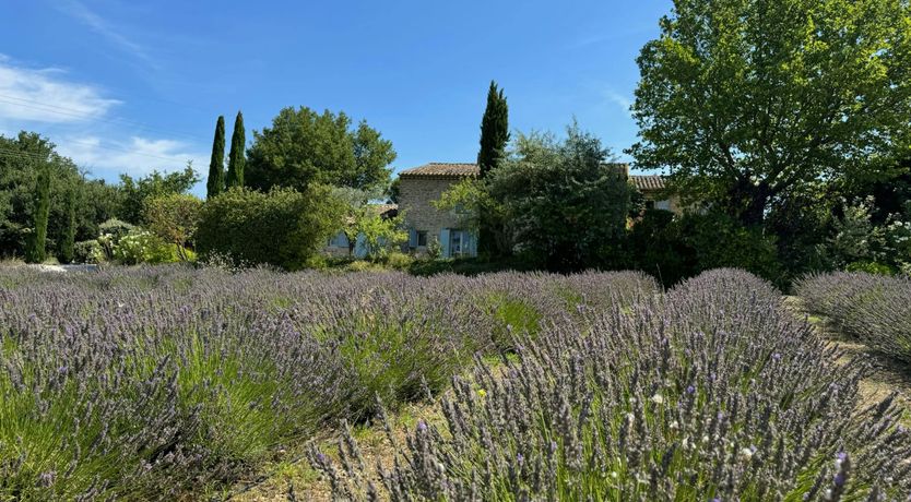 Photo of The Proven&ccedil;al Nest