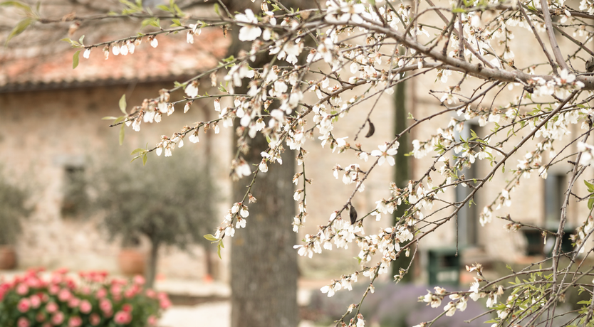 Photo of Tranquil Echo