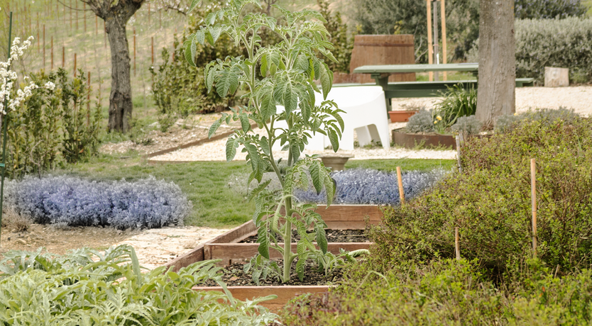 Photo of Tranquil Echo