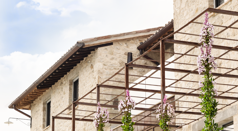 Photo of Tranquil Echo