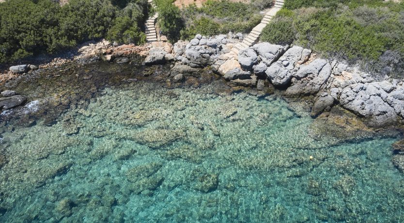 Photo of The Natural Beauty