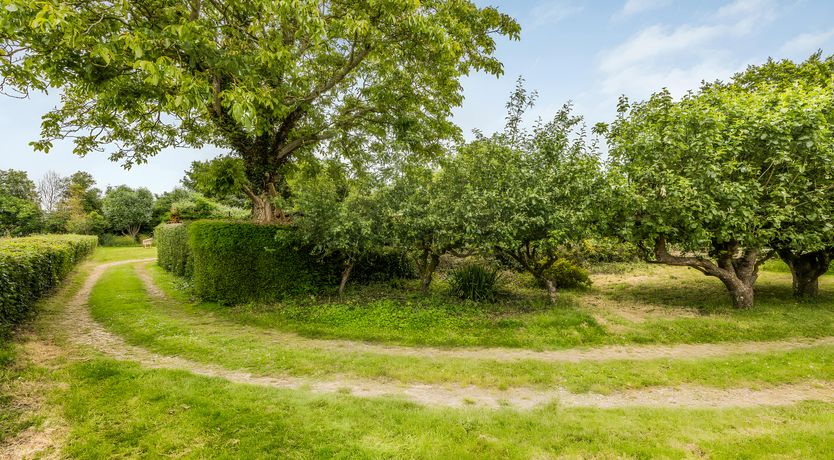 Photo of Lovely Lavant