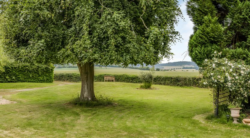 Photo of Lovely Lavant