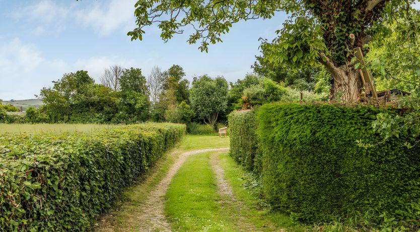 Photo of Lovely Lavant