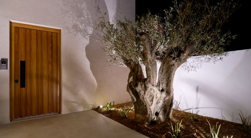 Photo of White Oasis