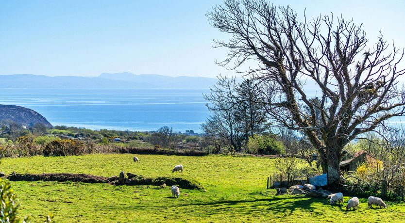 Photo of Green Hills & Sea Air