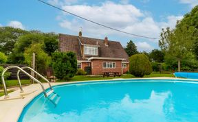 Photo of Serene Meadow Breeze