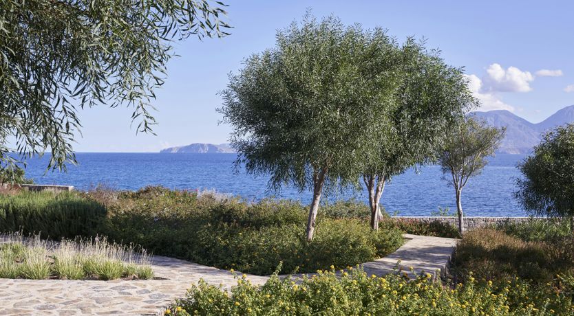 Photo of Golden Shore Light