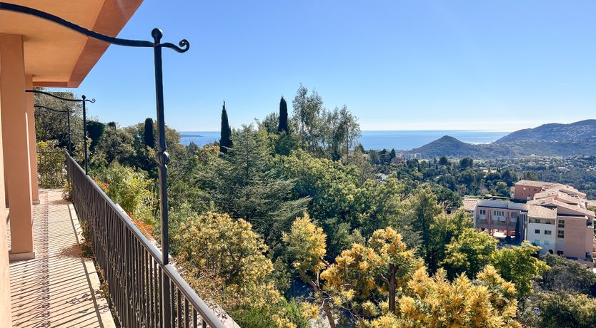 Photo of Golden Escape