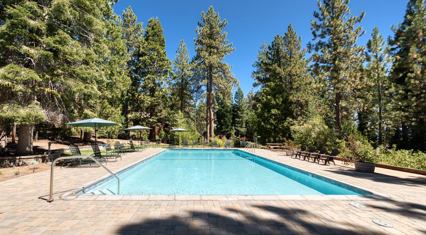 Photo of Evergreen Eden