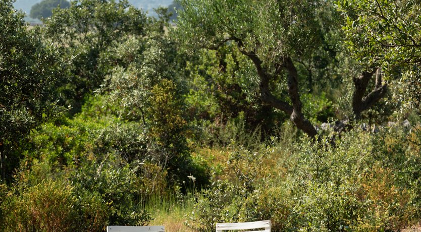 Photo of The Hidden Trullo
