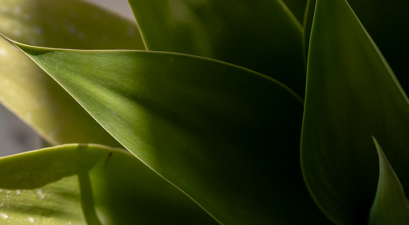 Photo of The Hidden Trullo