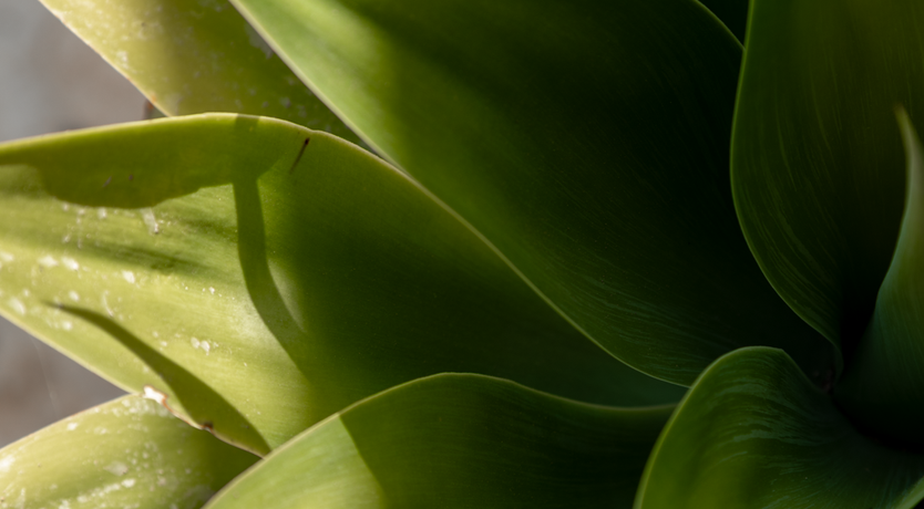 Photo of The Hidden Trullo