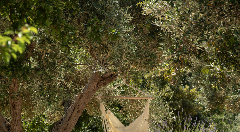 Photo of The Hidden Trullo