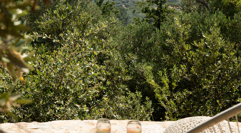 Photo of The Hidden Trullo