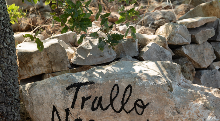 Photo of The Hidden Trullo