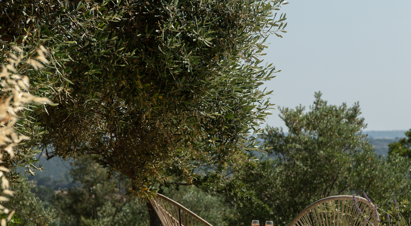 Photo of The Hidden Trullo