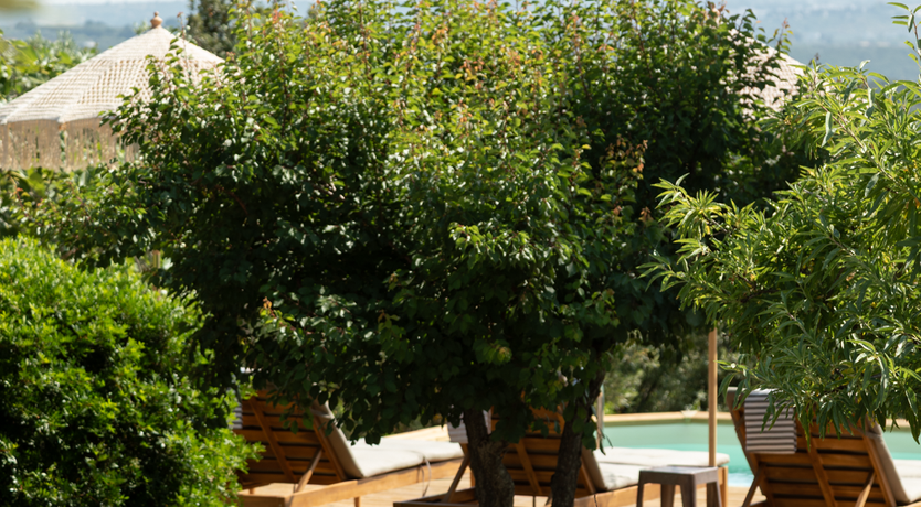 Photo of The Hidden Trullo