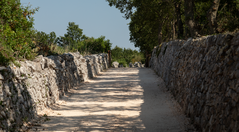 Photo of The Hidden Trullo