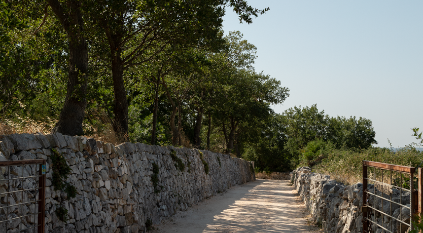 Photo of The Hidden Trullo