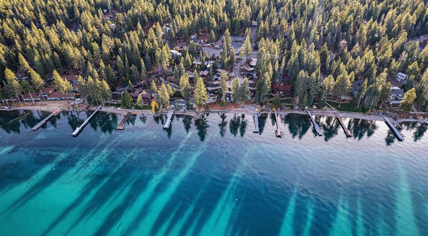 Photo of The Tahoe Nest