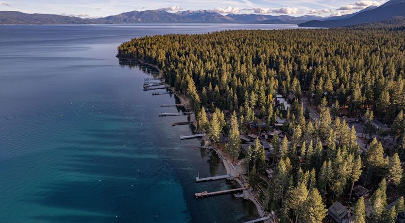 Photo of The Tahoe Nest