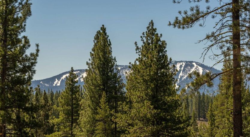 Photo of Natural Summit