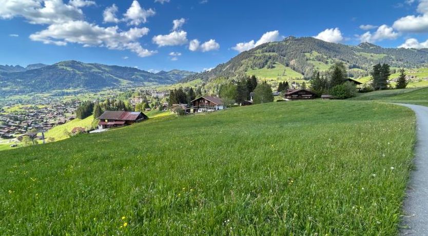 Photo of Alpenchalet Haldeli