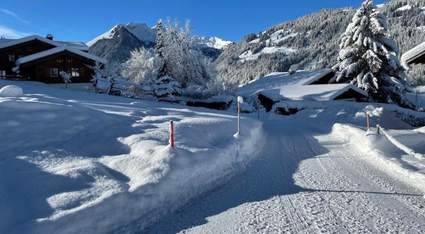 Photo of Alpenchalet Haldeli