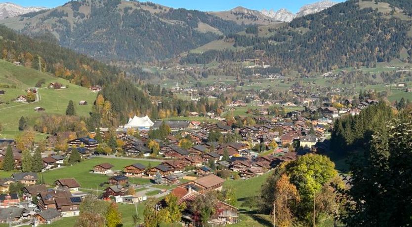 Photo of Alpenchalet Haldeli