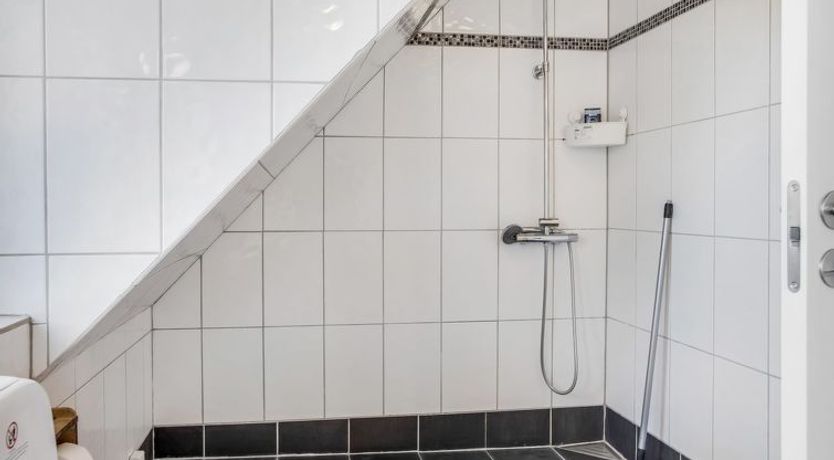 Photo of "Albina" - 4.5km from the sea