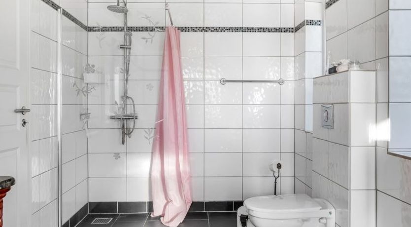 Photo of "Albina" - 4.5km from the sea