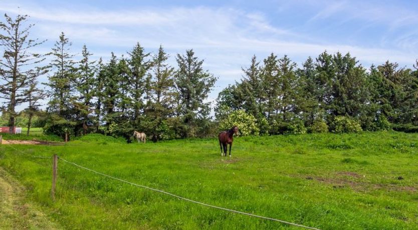 Photo of "Josefiina" - 22km from the sea