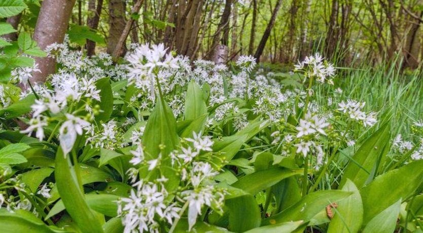 Photo of "Andri" - 1.5km from the sea