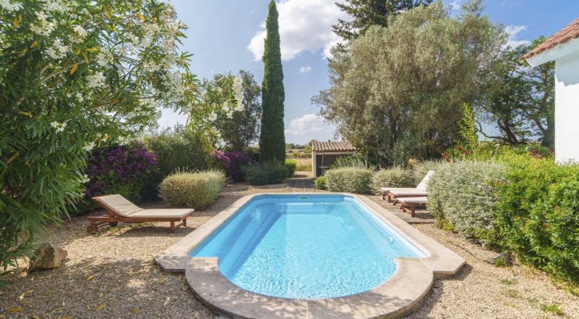 Photo of Es Camp Jeu