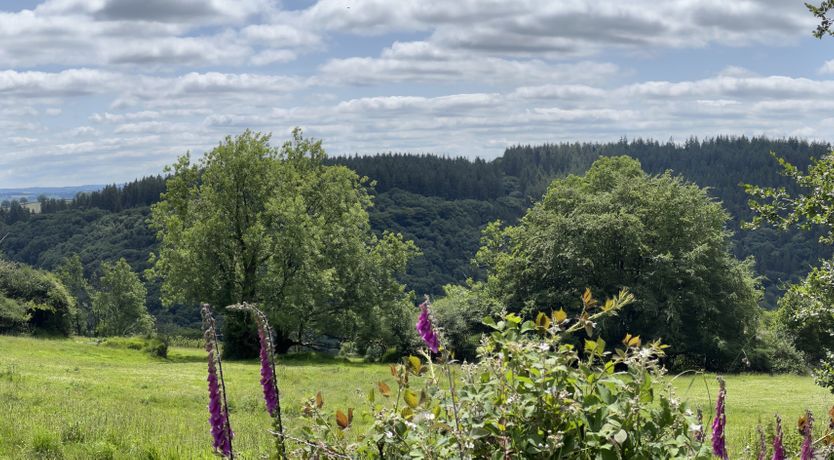 Photo of Byre Cottage, Dulverton