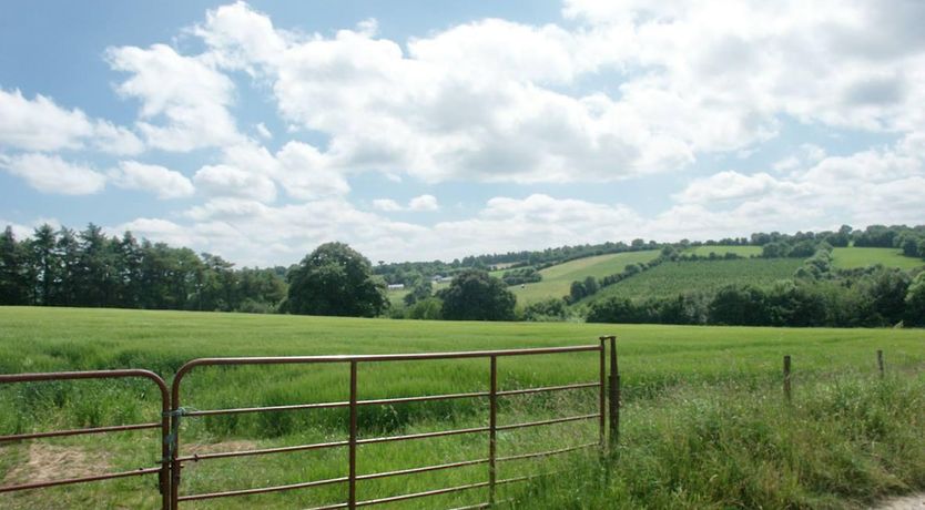 Photo of 1 Bed in New Ross