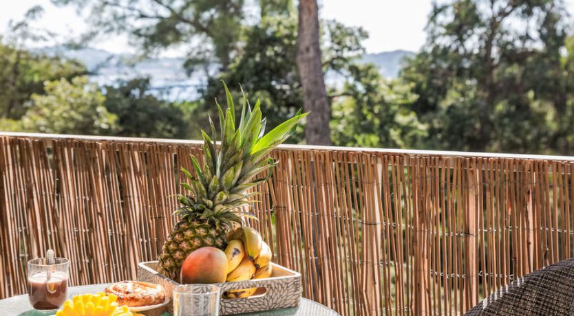 Photo of Tamarissime