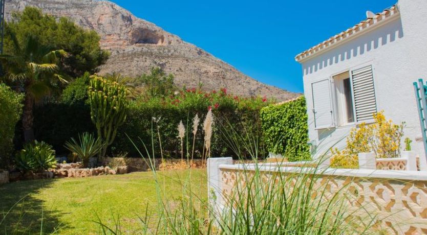 Photo of Baloma Plus