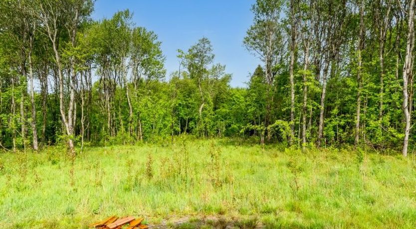 Photo of "Vilppu" - 900m from the sea