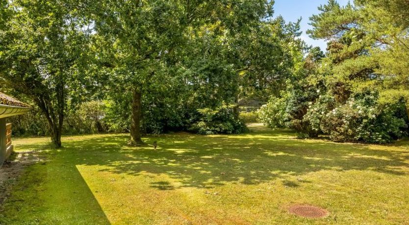 Photo of "Yarla" - 500m to the fjord