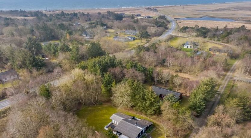 Photo of "Iris" - 200m to the fjord