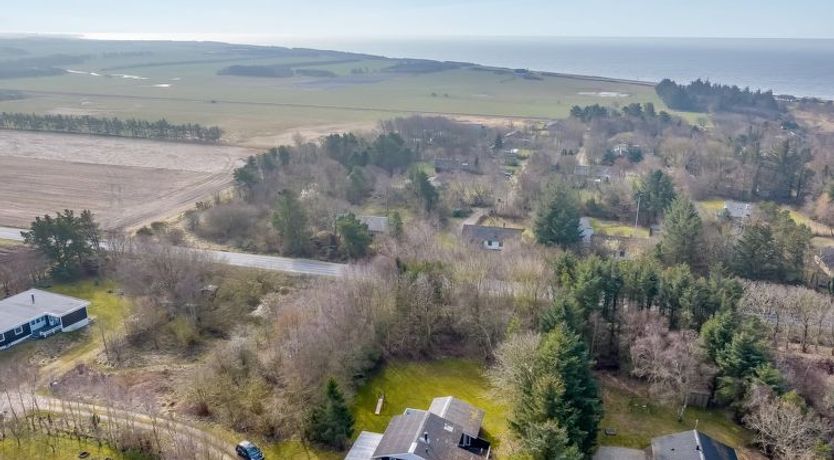 Photo of "Iris" - 200m to the fjord