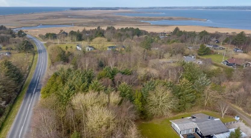 Photo of "Iris" - 200m to the fjord