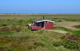 Photo of hermoth-300m-from-the-sea
