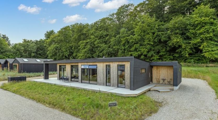 Photo of "Heidie" - 600m from the sea