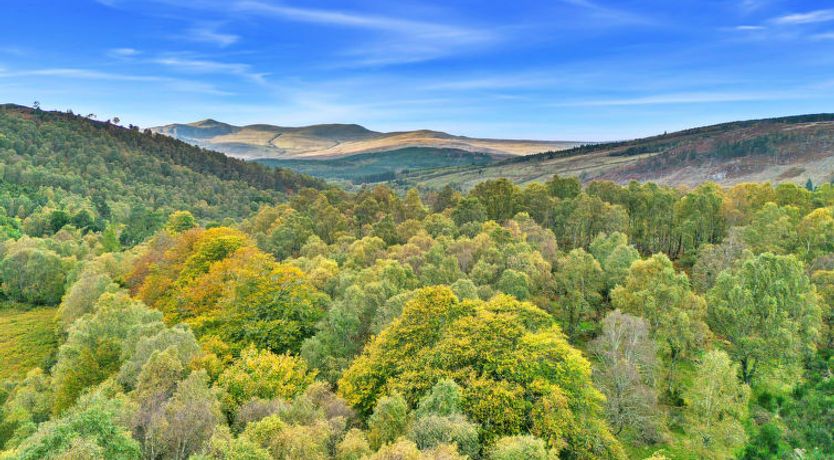 Photo of Cosagach Falls Cabin