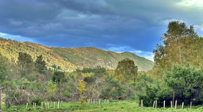 Photo of Cosagach Falls Cabin