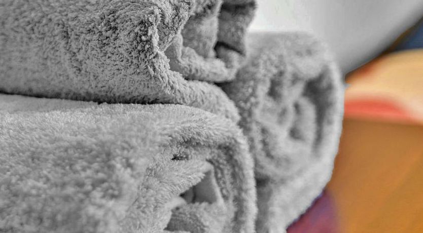 Photo of The West Wing at The Mill House