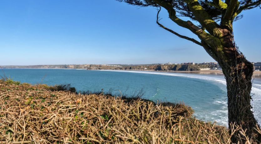 Photo of Tidal Shores